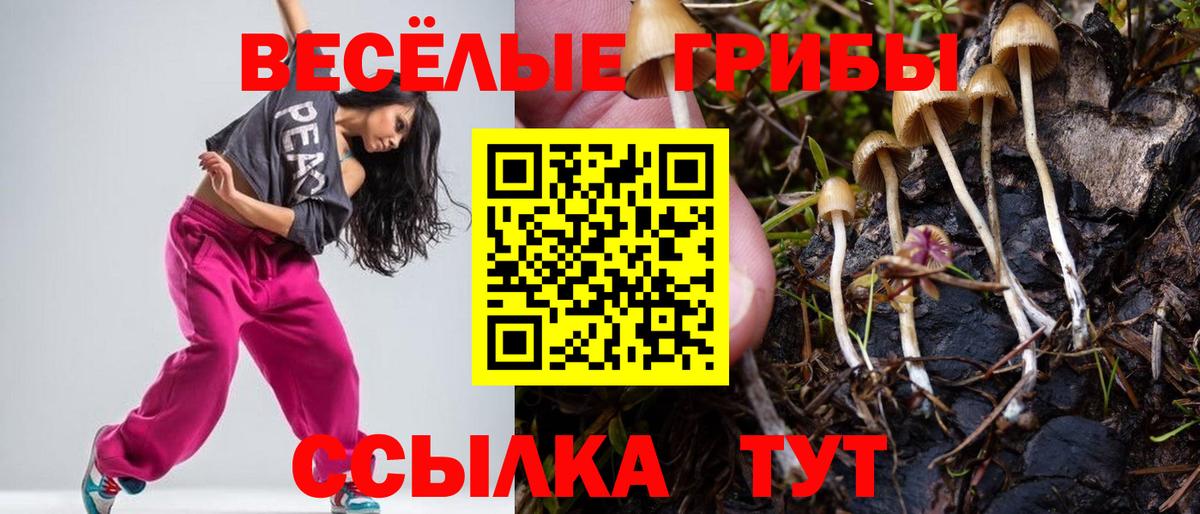 Нижневартовск  Псилоцибиновые грибы Psilocybe  Вход с VPN 